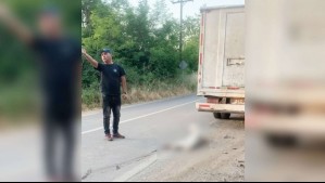 Nuevo caso de maltrato animal: Perro fue amarrado a un camión y arrastrado por carretera en La Calera