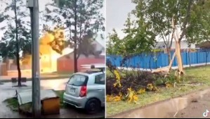 Video muestra momento en que un rayo rompe un árbol en Puente Alto tras intenso sistema frontal