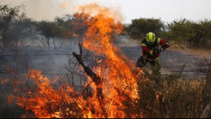 Senapred declara Alerta Roja en Paihuano por incendio forestal