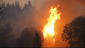 Declaran Alerta Roja en Isla de Pascua por incendio forestal