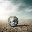 Organismo europeo estableció que el 17 de noviembre de 2023 fue el primer día en que la temperatura global superó los 2°C por encima de los niveles preindustriales.