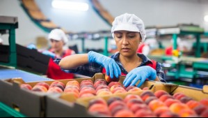 Aconcagua Foods busca más de 2 mil trabajadores: ¿Cuáles son las ofertas laborales y cómo postular?