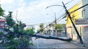 Caída de árbol dejó un poste colgando en transitada calle de Quinta Normal