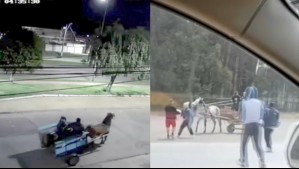 Investigan banda de 'carreta chorros' que opera en Talcahuano: Utilizan carretón con caballo para cometer asaltos