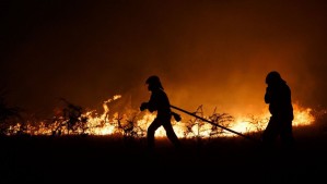 Incendio forestal en O'Higgins: Ordenan evacuación de parcelas en la comuna de La Estrella