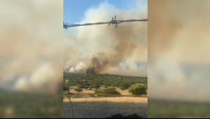 Solicitan evacuar nuevo sector de la comuna de La Estrella por incendio forestal