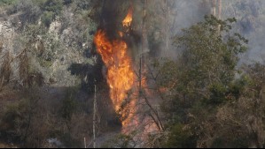 Declaran Alerta Amarilla en Quilpué por incendio forestal con 'comportamiento extremo'