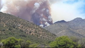 'Alrededor de 1.100 hectáreas se están quemando': Delegado presidencial provincial por incendio que afecta a Quilpué