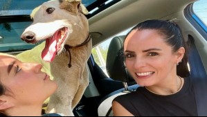 Maca Sánchez y su hija participaron en operativo en Melipilla de rescate de 33 perritos maltratados: 'Quedé feliz'