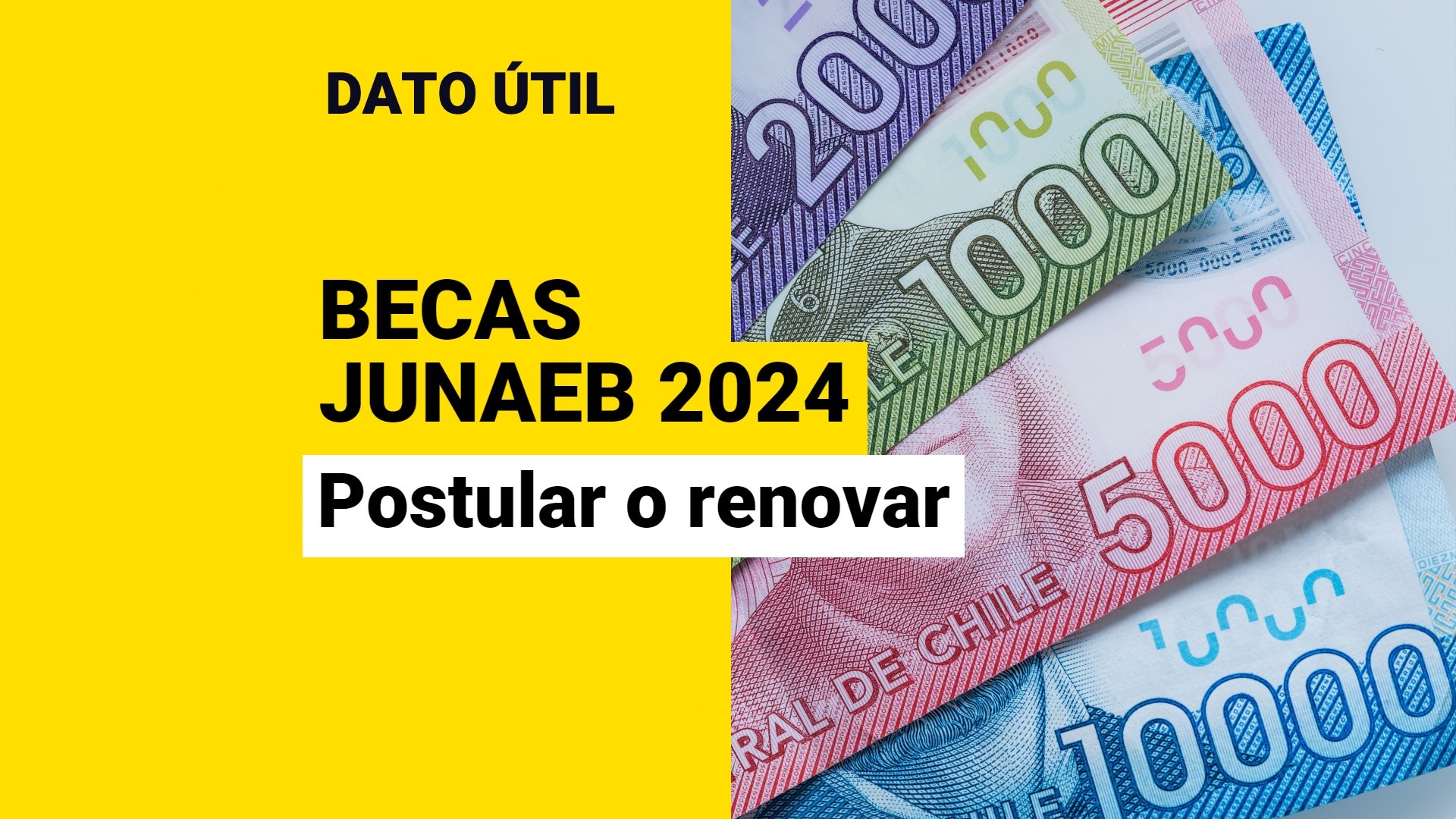 Becas Junaeb 2024: Así Puedes Postular O Renovar Tus Beneficios ...