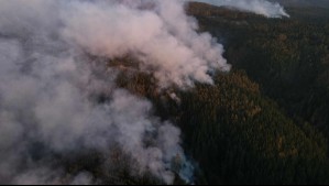 Autoridades indican que el incendio forestal en la Región Metropolitana no genera 'condiciones de emergencia ambiental'