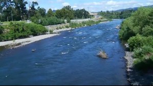 Desesperada búsqueda de menor en río Cautín de Temuco: 'Le pedimos a las autoridades que se hagan presentes'