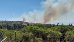 Declaran Alerta Roja en provincia de Marga Marga por incendio forestal cercano a sectores poblados