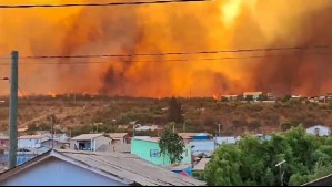 Senapred solicita evacuar sector de la comuna de Limache por incendio forestal
