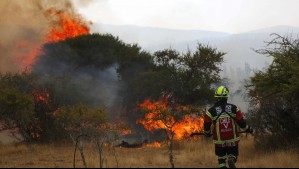 Autoridades declaran Alerta Roja para la comuna de Valparaíso por incendio forestal