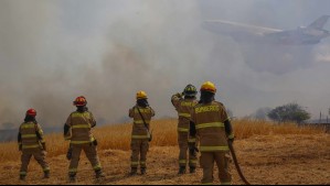 Declaran Alerta Roja para la comuna de Hualañé por incendio forestal con avance rápido y cercano a sectores poblados