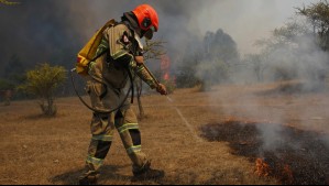 Detienen a presunto autor de incendio forestal en Villa Alemana: 'Portaba un encendedor'