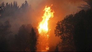 Senapred solicita evacuar sector de la región de O'Higgins y declara Alerta Roja en la comuna por incendio forestal