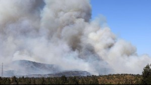 Autoridades ahora solicitan evacuar sector de la comuna de Paine y La Estrella por incendios forestales