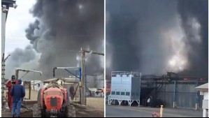 Gran incendio afecta a empresa de packing en la comuna de Olivar