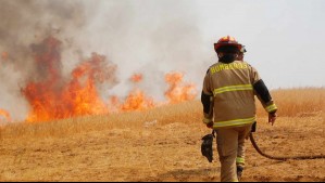 'Habrá mayor simultaneidad': Conaf RM advierte que incendios forestales serán peores que los del año pasado