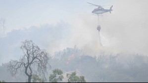 'Tenemos viviendas en toda esta zona': Nuevo foco de incendio forestal amenaza a Limache