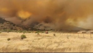 Declaran Alerta Roja en Curacaví, Padre Hurtado y San Bernardo por incendios forestales con comportamiento extremo