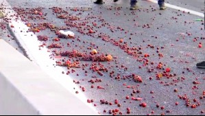 Frutillas, cerezas, uvas y duraznos: Accidente en Ruta 5 provocó caída de fruta desde un camión en Pedro Aguirre Cerda