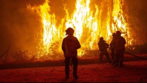 Senapred mantiene Alerta Roja por incendio forestal en región de Valparaíso: Diez hectáreas consumidas