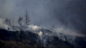 Declaran Alerta Amarilla para la comuna de Requínoa por incendio forestal de 'propagación rápida'