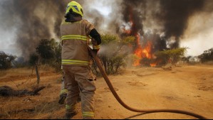 Activan Botón Rojo en sectores de siete regiones por peligro de propagación de incendios forestales