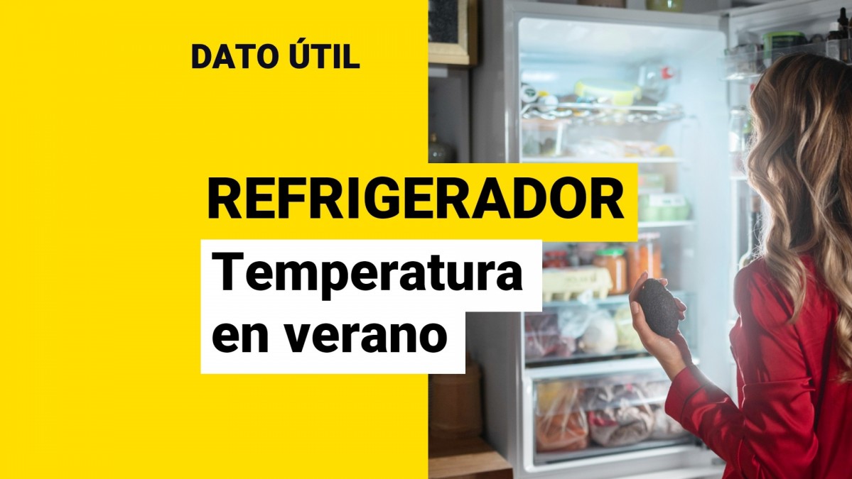 ¿Qué temperatura debe tener el refrigerador en verano? Meganoticias