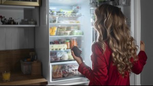 Verano e intenso calor: ¿Qué temperatura debe tener el refrigerador?