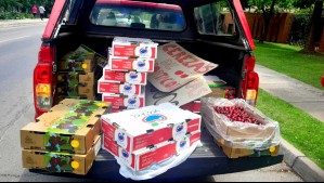 Polémica por venta VIP de cerezas: Cuestionan comercio de frutas en calles del sector oriente de Santiago
