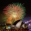 Nueva Zelanda y Australia han dado la bienvenida al Año Nuevo 2024 con deslumbrantes celebraciones. El continente oceánico ha marcado el inicio de las festividades en el mundo. Mira los registros.