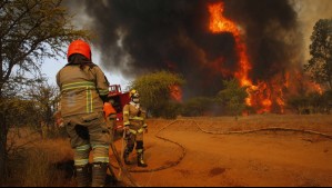 Declaran Alerta Roja para Valparaíso por incendio forestal
