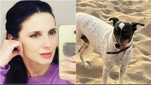 Luz Valdivieso pide ayuda en redes sociales por extravío de su perrito: Se asustó con fuegos artificiales