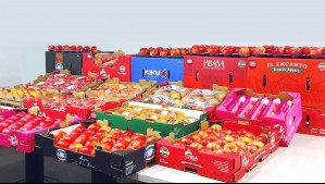 Empresa exportadora de frutas busca evitar su quiebra: ¿Cuáles son las razones que la llevaron a esta situación?