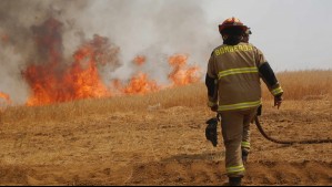 Alerta Roja en Chaitén: Incendio forestal afecta al Parque Nacional Pumalín Douglas Tompkins