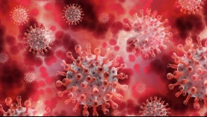 Nueva variante de coronavirus 'Pirola': Estos son los síntomas que te podrían advertir que estás contagiado