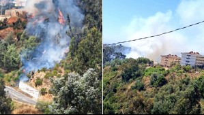 Incendio forestal afecta al sector de Rodelillo en Valparaíso: Fuego amenaza zonas pobladas