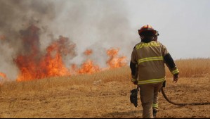 Declaran Alerta Roja en Quilpué y Melipilla por incendios forestales que amenazan a viviendas