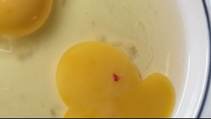 ¿Es seguro de comer? Qué son las manchas rojas en las yemas de los huevos