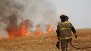 Declaran Alerta Roja en dos comunas de la región de O'Higgins por incendios forestales cercanos a sectores habitados