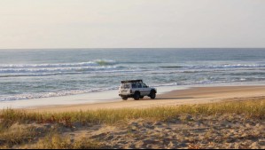 Ingreso de vehículos motorizados a las playas: Este es el daño ecológico que genera esta práctica