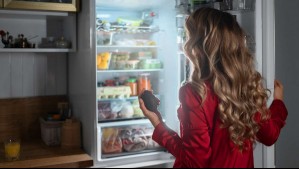 ¿Qué significa que un refrigerador tenga sistema Frost o No Frost?