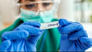 Nueva variante del coronavirus tendría 100% de mortalidad, según investigación efectuada en ratas en China