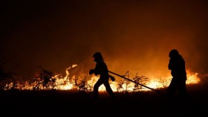 Solicitan evacuación en sectores de la región del Maule por incendio forestal: Se activó mensajería SAE