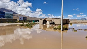 Invierno altiplánico: ¿En qué consiste el fenómeno que provocó una inundación en el pueblo de Cariquima?