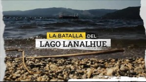 La batalla del Lago Lanalhue: El bello paraje del sur del país que está amenazado por crímenes de grupo paramilitar